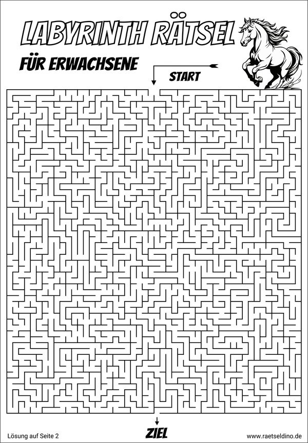 Labyrinth Rätsel Erwachsene ausdrucken