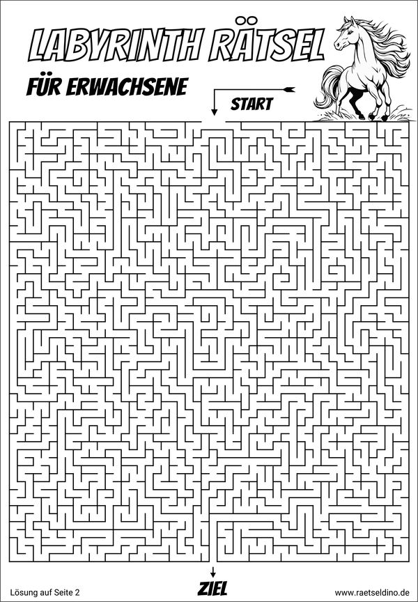 Labyrinth Rätsel für Erwachsene