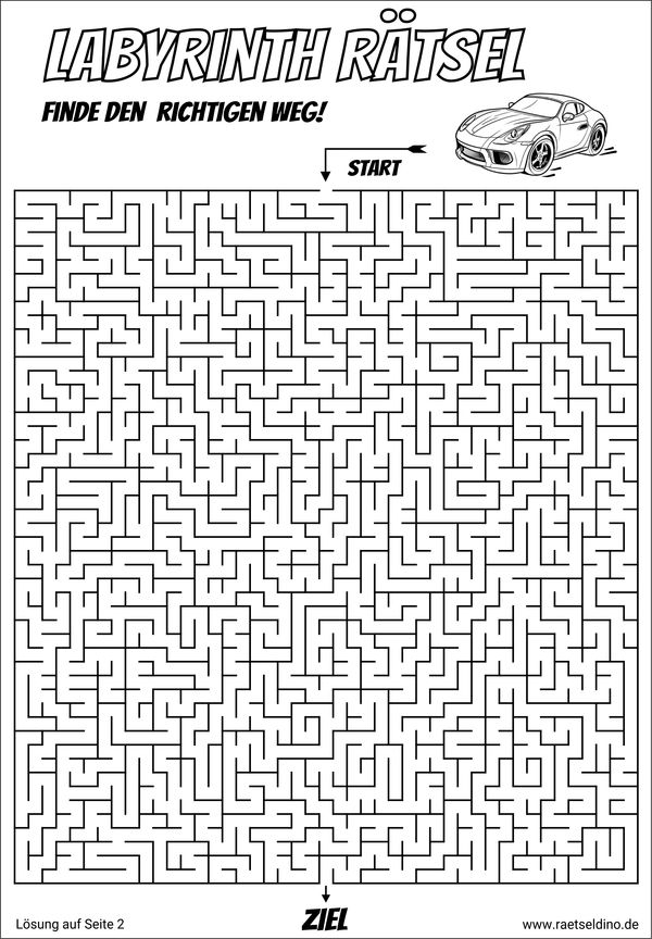 Labyrinth Rätsel sehr schwer